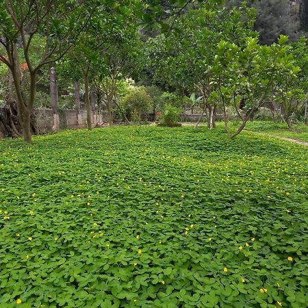 נין בין Yen Binh Homestay מראה חיצוני תמונה
