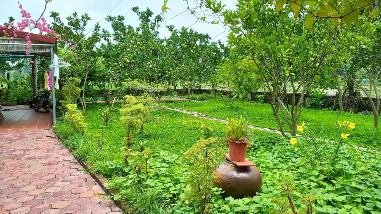 נין בין Yen Binh Homestay מראה חיצוני תמונה