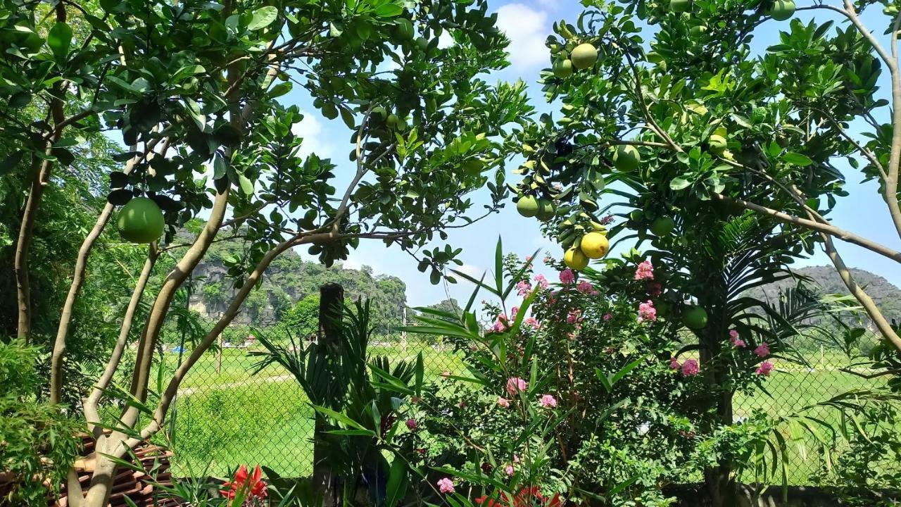 נין בין Yen Binh Homestay מראה חיצוני תמונה