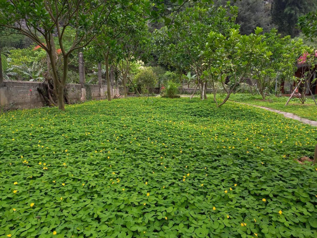 נין בין Yen Binh Homestay מראה חיצוני תמונה