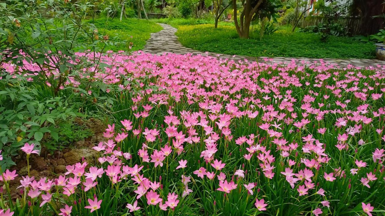 נין בין Yen Binh Homestay מראה חיצוני תמונה