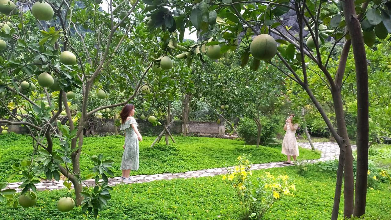 נין בין Yen Binh Homestay מראה חיצוני תמונה