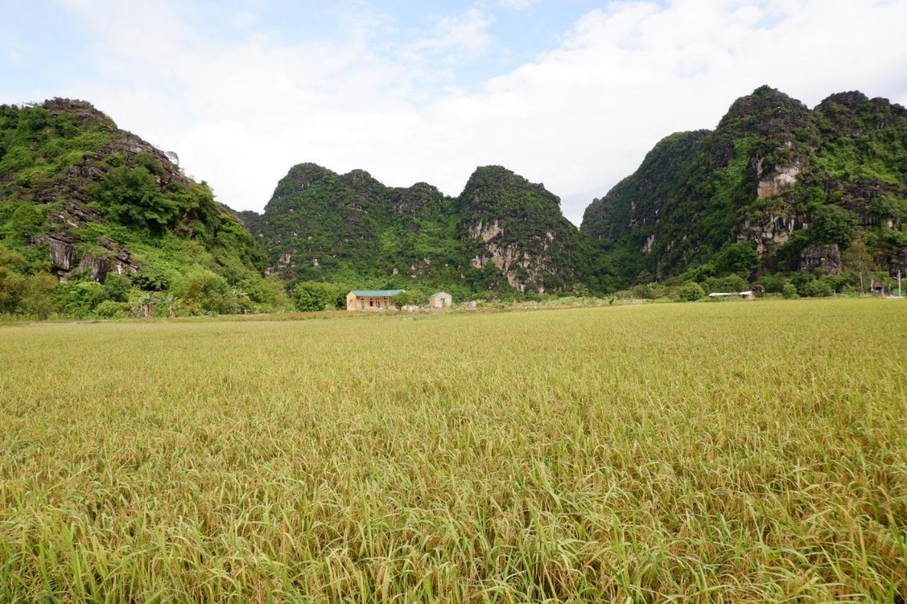 נין בין Yen Binh Homestay מראה חיצוני תמונה