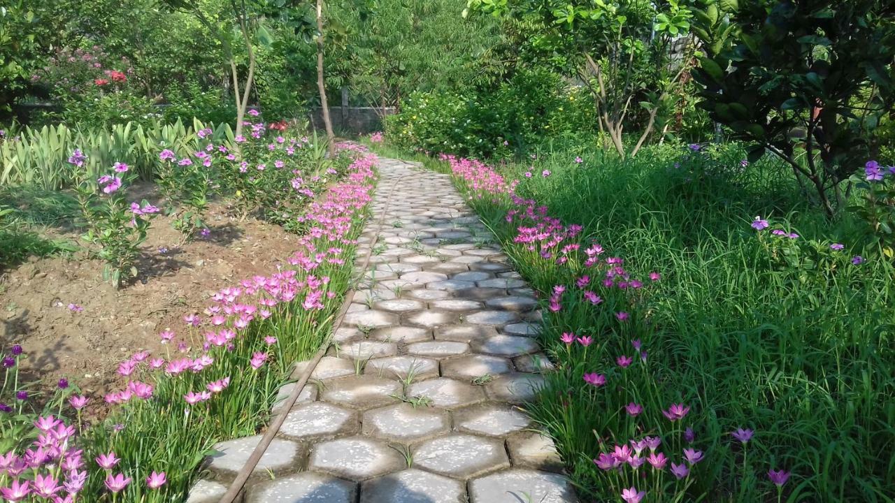 נין בין Yen Binh Homestay מראה חיצוני תמונה